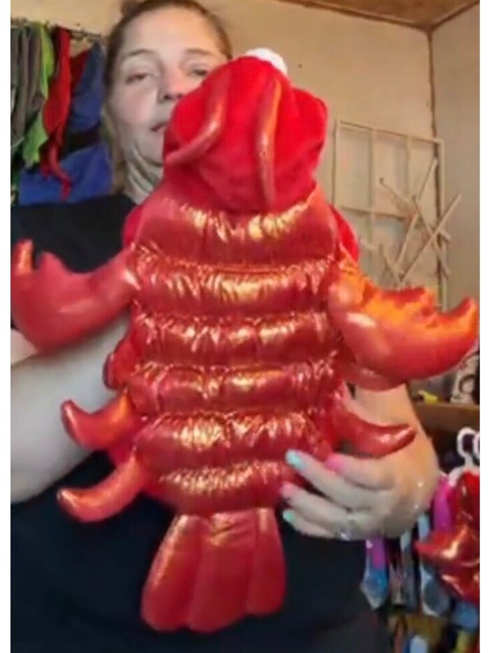 Red lobster pet costume size small